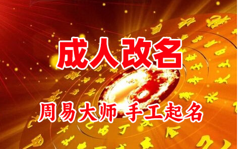 华龙成人改名-找大师一对一改名先分析后改名
